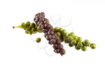 Green and black peppercorns
 isolated on white