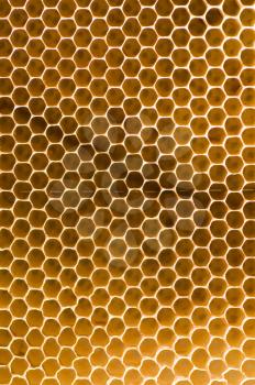 Honeycomb
