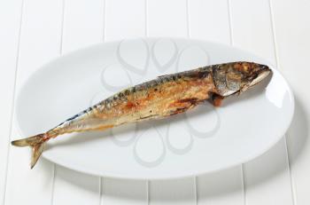 Grilled mackerel on white platter