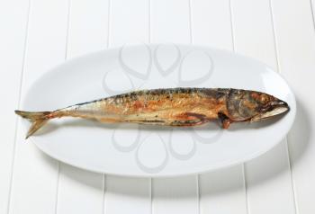 Grilled mackerel on white platter