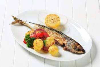 Dish of grilled mackerel and potatoes