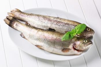 Two fresh trouts on a plate