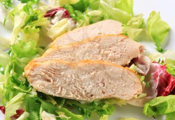 Sliced chicken breast fillet on a nest of green salad 