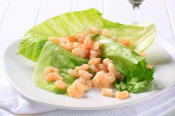 Cooked shrimps on lettuce leaves