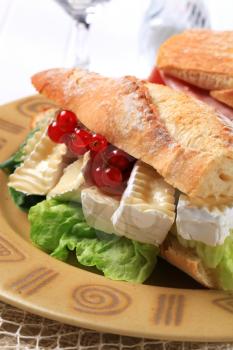 Sub sandwich with white rind cheese and lettuce