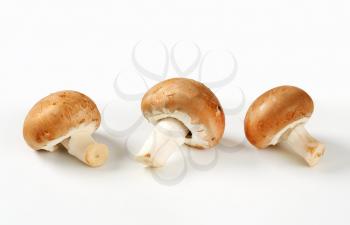 Fresh brown mushrooms - studio shot