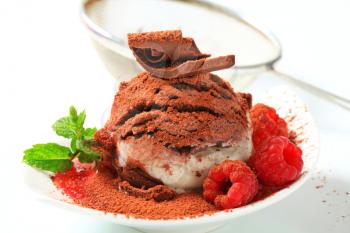 Vanilla chocolate ice cream with raspberries sprinkled with cocoa powder