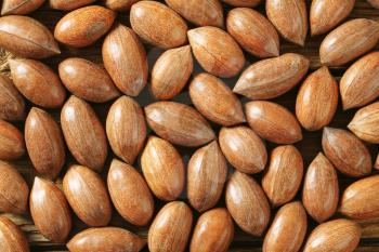 Fresh unshelled pecan nuts - detail