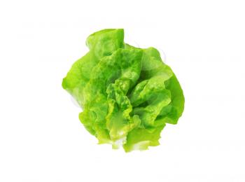 Butterhead - Also known as Boston or Bibb lettuce
