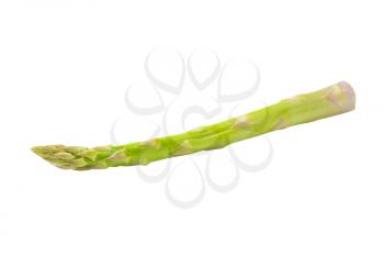 Fresh asparagus spear isolated on white