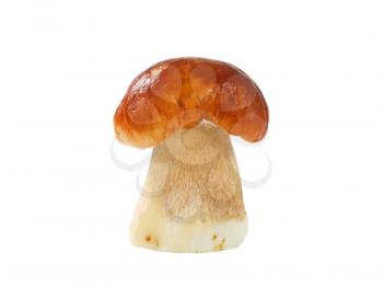 Fresh edible mushroom isolated on white