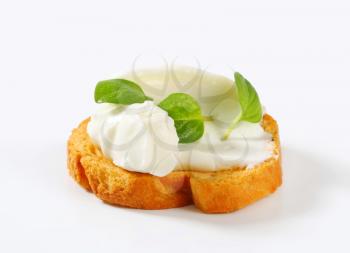 Small round toast with cheese spread