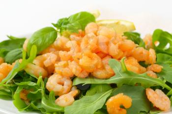 Spicy shrimps on bed of salad greens