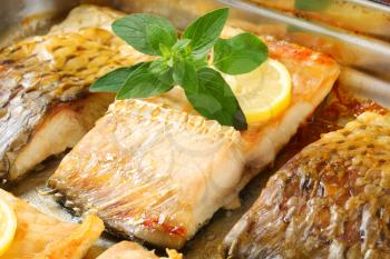Oven baked carp fillets in baking pan