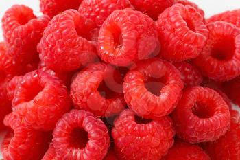 Studio shot of fresh raspberries