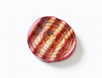 Grilled onion slice - studio shot