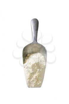 Metal scoop of finely ground flour
