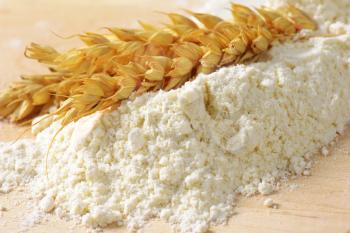 Wheat ears on pile of soft flour