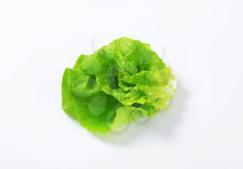 Butterhead - Also known as Boston or Bibb lettuce