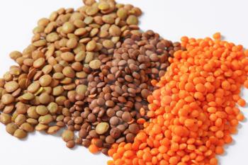 Studio shot of lentil varieties