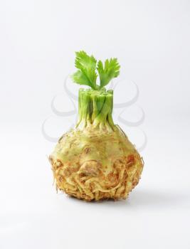 celery root on white background