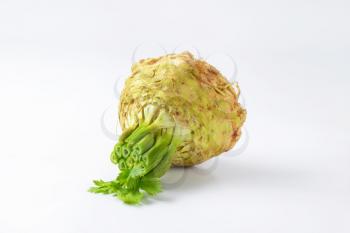 celery root on white background