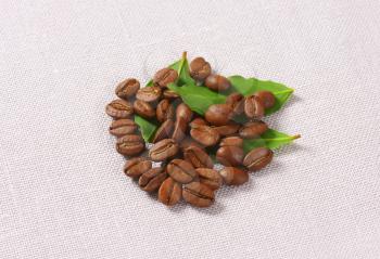 Medium roasted Arabica coffee beans