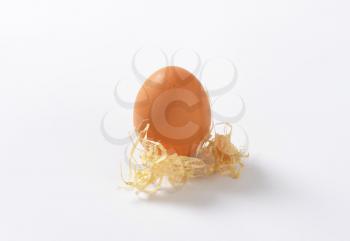 single brown egg on white background