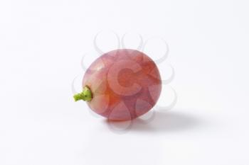 Single fresh seedless red table grape