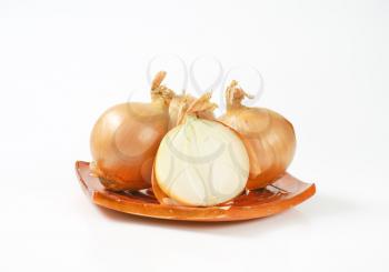 raw onions on orange plate
