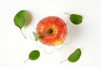 washed red apple with leaves on white background