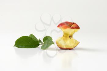apple core and leaves on white background