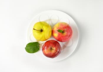 plate of apples on white background