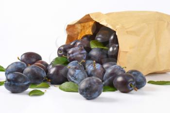 fresh damson plums in paper bag
