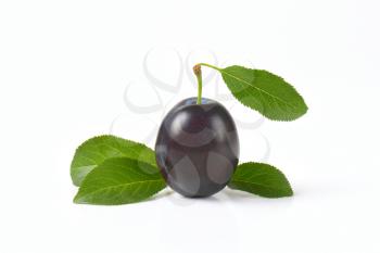 ripe plum with leaves on white background
