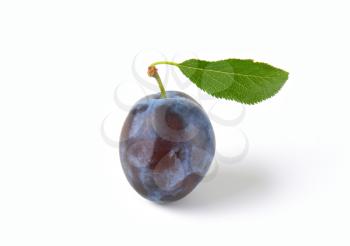 ripe plum with leaf on white background