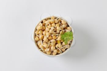 Bowl of sprouted chick peas