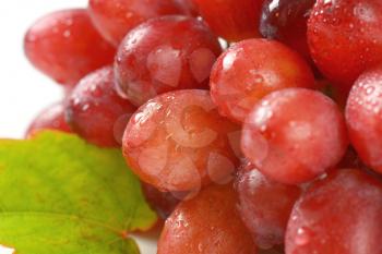 detail of bunch of washed red grapes