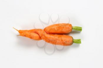two twisted carrots on white background