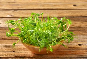 bowl of green pea sprouts on wooden background - close up
