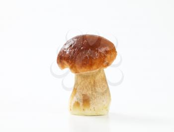 fresh boletus mushroom (penny bun) on white background