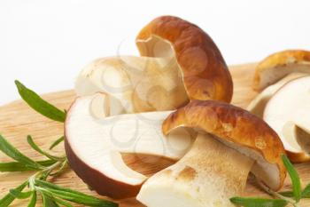 detail of boletus mushrooms with rosemary on wooden cutting board