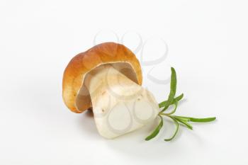 fresh boletus mushroom with rosemary on white background
