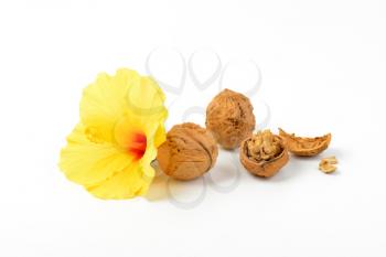 walnuts and hibiscus flower on white background