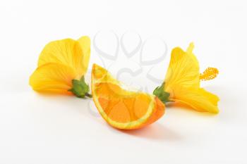 hibiscus flowers and slice of orange on white background