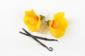 hibiscus flowers and vanilla pods on white background