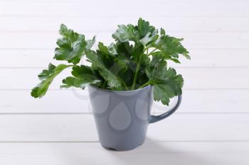 cup of fresh parsley leaves on white wooden background