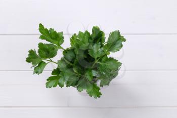 cup of fresh parsley leaves on white wooden background