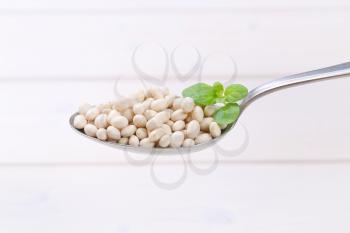 spoon of raw white beans on white wooden background