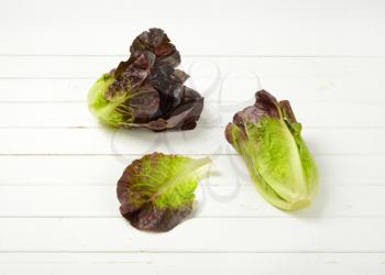 heads of fresh Romaine lettuce on white wooden background